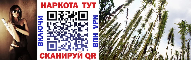 Купить закладку Каннабис  МЕФ  Alpha-PVP  ГАШ  COCAIN  Сельцо