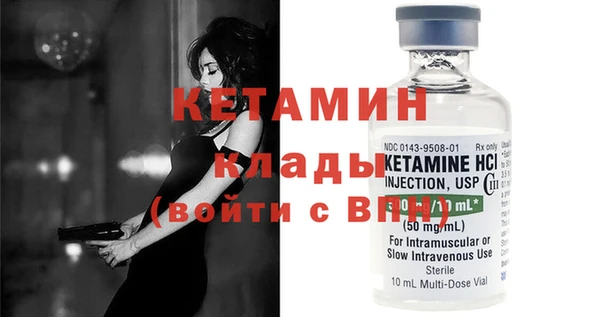 трава Няндома