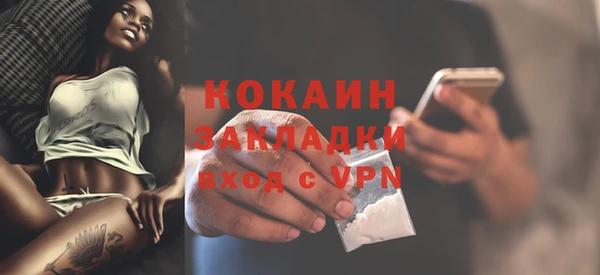 трава Няндома