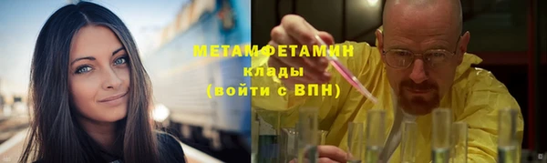 трава Няндома