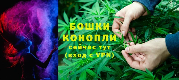 трава Няндома