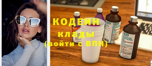 трава Няндома