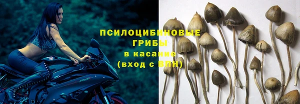 ALPHA-PVP Нягань