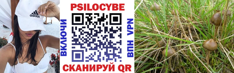 Псилоцибиновые грибы мухоморы  Купить закладки  Сельцо 