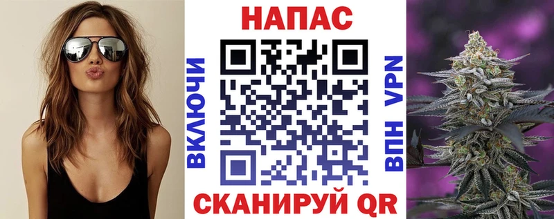 Бошки Шишки MAZAR  Купить  Сельцо 